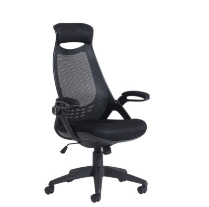 2026 D P342 - TUSCAN MESH HIGH BACK MESH CHAIR WITH HEAD SUPPORT